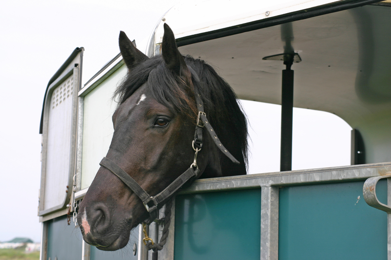 Horse Trailer Insurance