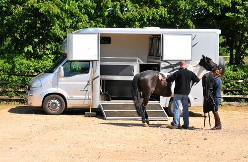 Horsebox Insurance